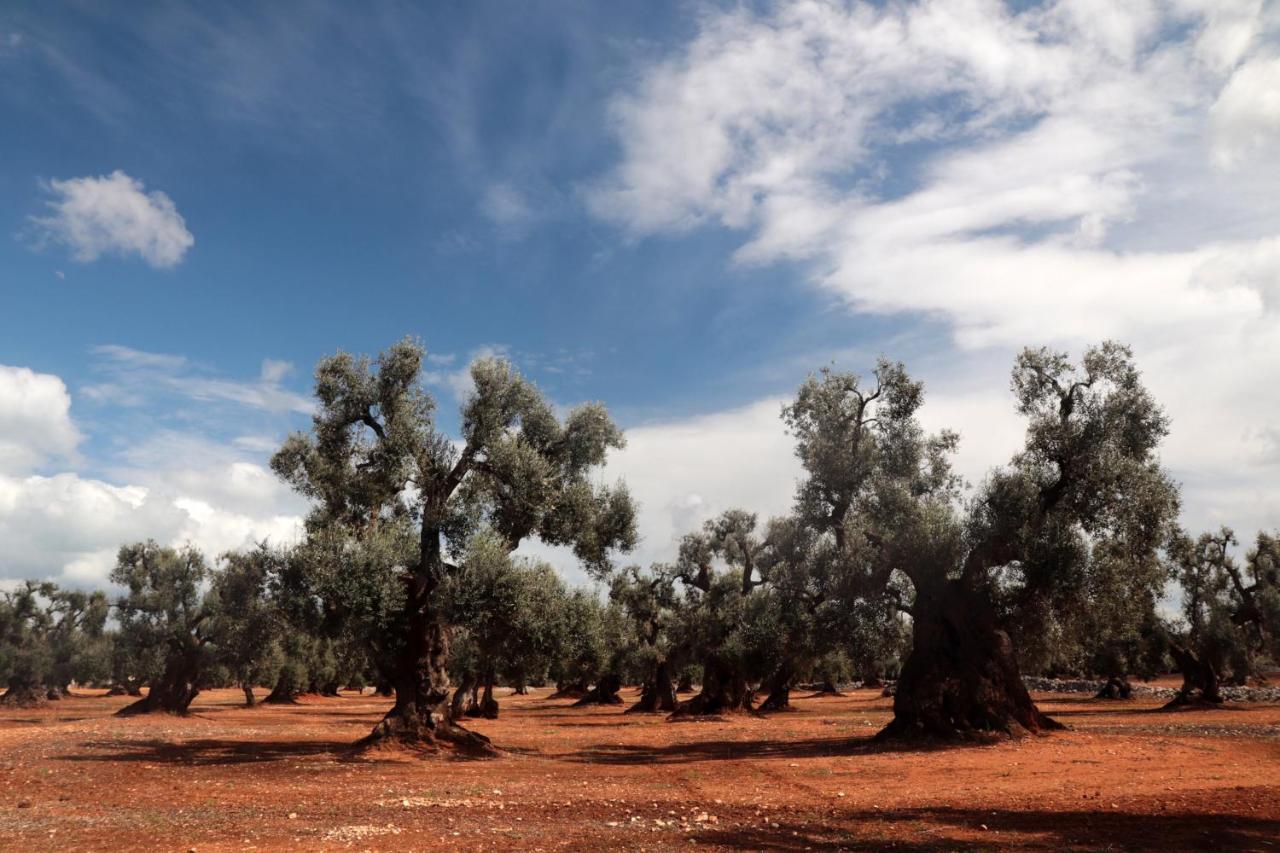 Masseria Conca D'Oro Остуни Екстериор снимка